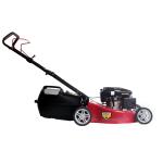 professional lawnmower VICTOR-CJ21