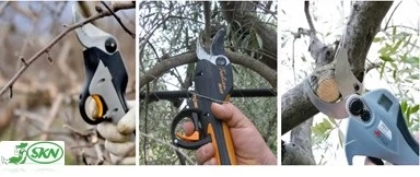 battery powered pruning shear + قیچی شارزی باغبانی