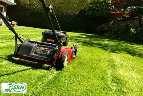 cutting lawn using lawnmower+ عملیات چمن زنی 