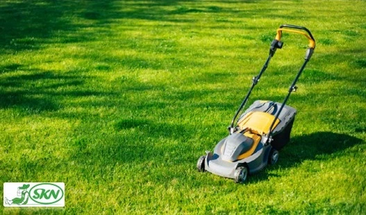 electric lawnmower + چمن زن ویلایی برقی