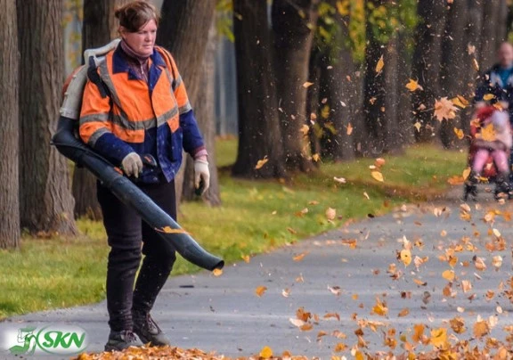 leaf blower + دمنده برگ