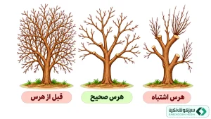 هرس چیست